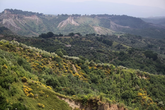 Alberi e campi con la montagna contro il cielo