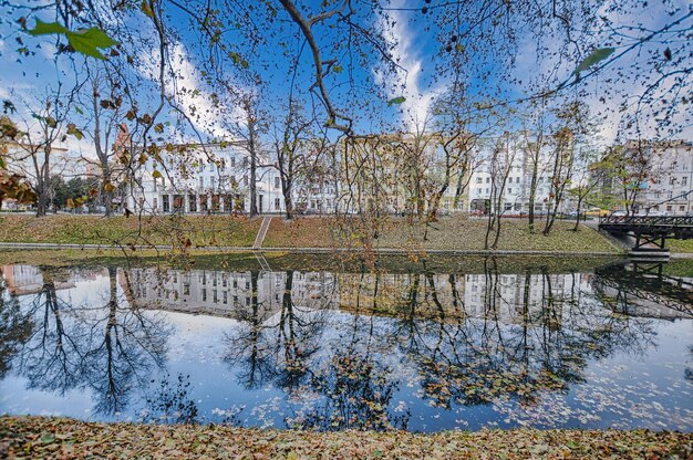 Alberi e fiume a Wroclaw