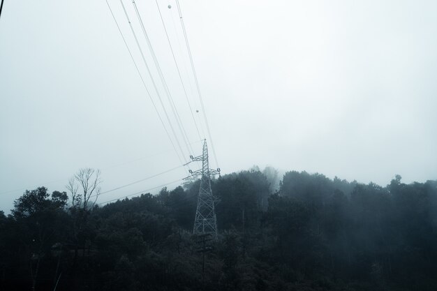 Alberi e montagne in una giornata di pioggia e nebbia