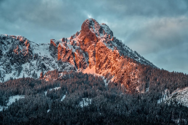 Alberi e montagne innevate contro un cielo nuvoloso