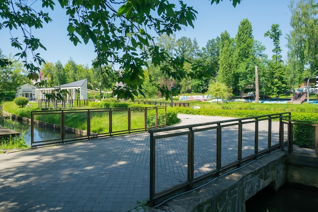 Alberi e vicoli del parco estivo in una giornata di sole.