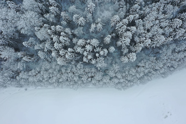 alberi foresta gelo vista dall'alto sfondo, vista astratta drone natura stagionale inverno abete rosso