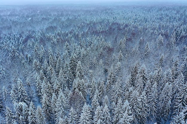 alberi foresta gelo vista dall'alto sfondo, vista astratta drone natura stagionale inverno abete rosso