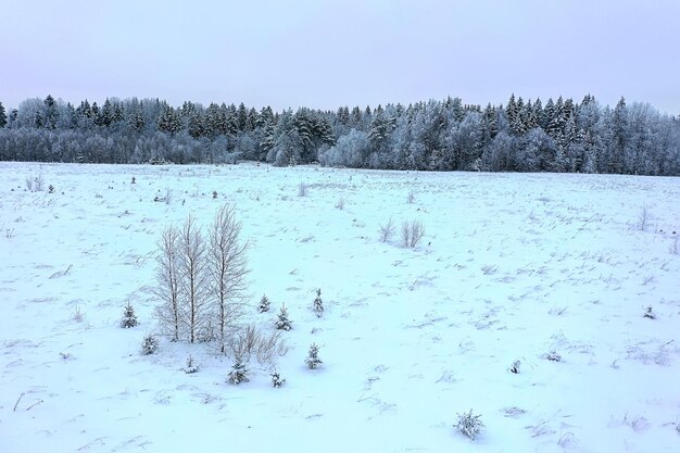 alberi gelo drone, vista astratta sfondo dicembre paesaggio alberi all'aperto neve