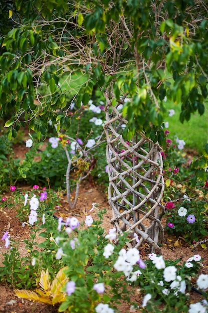 Alberi in giardino