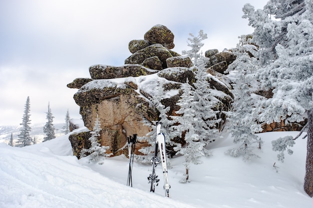 Alberi innevati e sci di montagna in cima alla stazione sciistica di Sheregesh in Russia