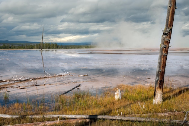 Alberi morti con calzini bobby nella Grande Primavera Prismatica a Yellowstone