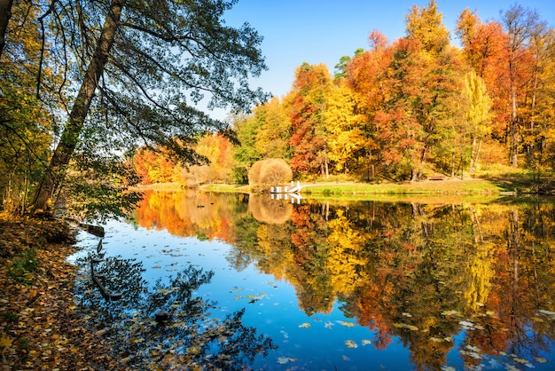 Alberi multicolori variopinti di autunno con le riflessioni nell'acqua di uno stagno