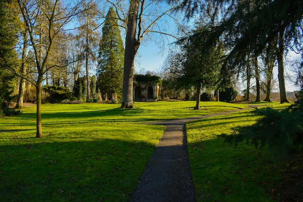 Alberi nel parco