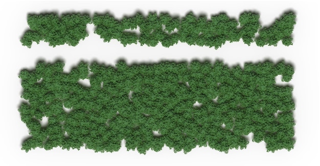 alberi nella foresta vista dall'alto area vista isolata su sfondo bianco illustrazione 3D rendering cg