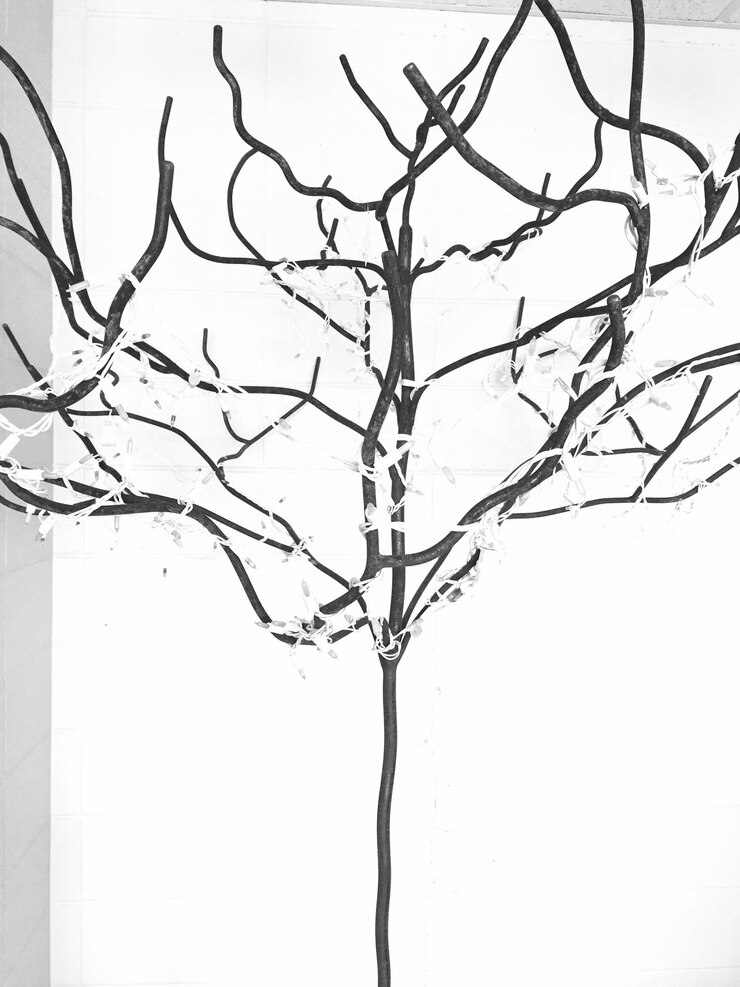 Foto alberi nudi contro il cielo