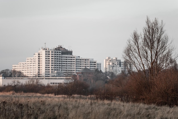 Alberi nudi sul campo contro gli edifici in città