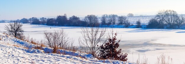 Alberi sulle rive del fiume ricoperti di ghiaccio e neve in una giornata di sole invernale