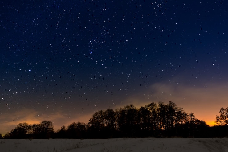 Foto alberi sullo sfondo del cielo stellato notturno