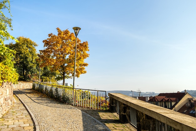 Alberi verdi e gialli nel parco di inizio autunno.