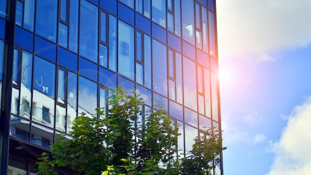 Alberi verdi freschi e concetto di business edificio per uffici Edificio ecologico nel concetto di città moderna