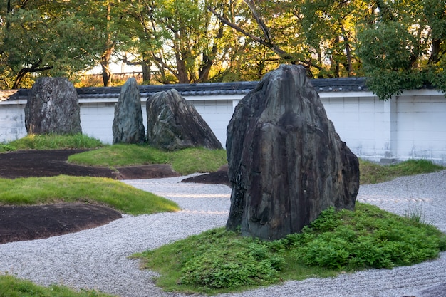 Alberi verdi naturali in un giardino giapponese