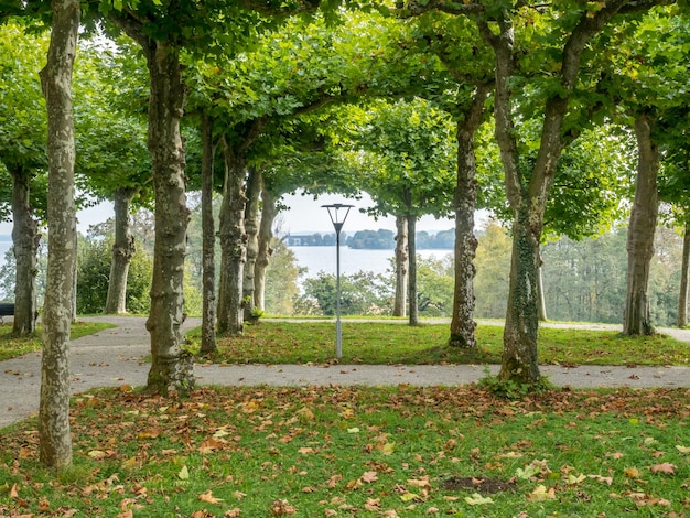 Alberi verdi nel parco del palazzo di Herrenchiemsee