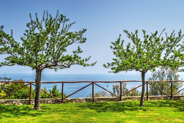 Alberi verdi sulla riva in Sardegna Italia