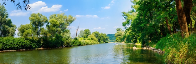 Albero, acqua, natura, sole, primavera, foresta,