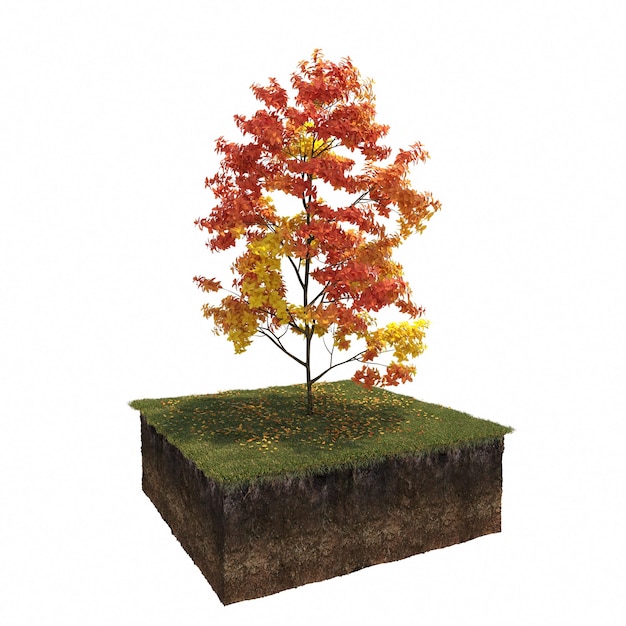 albero autunnale isolato su sfondo bianco, illustrazione 3D, rendering cg