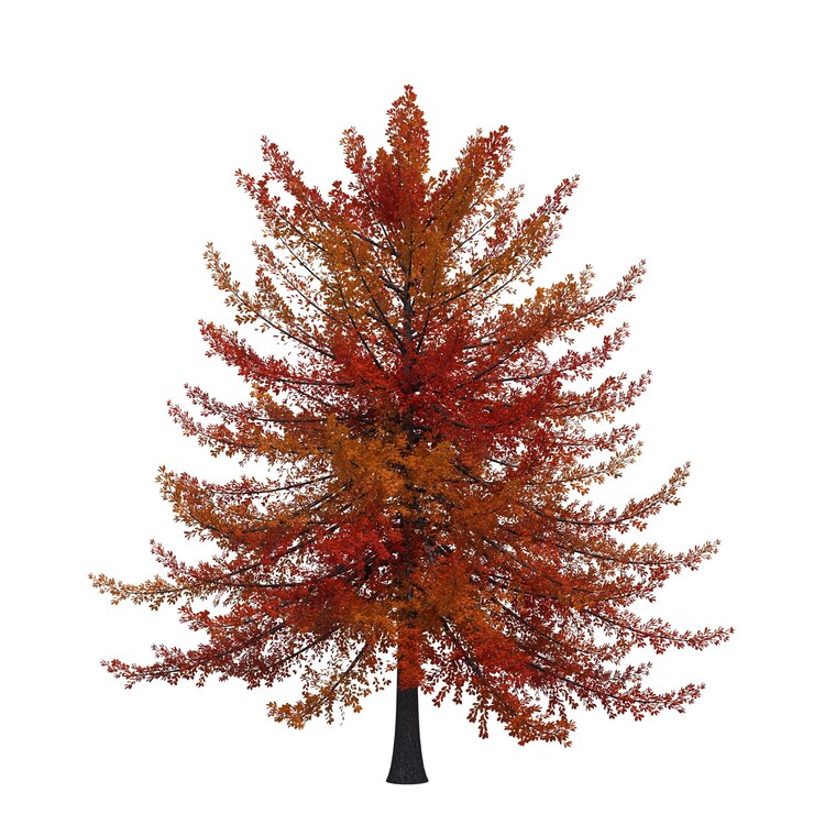 albero autunnale isolato su sfondo bianco, illustrazione 3D, rendering cg