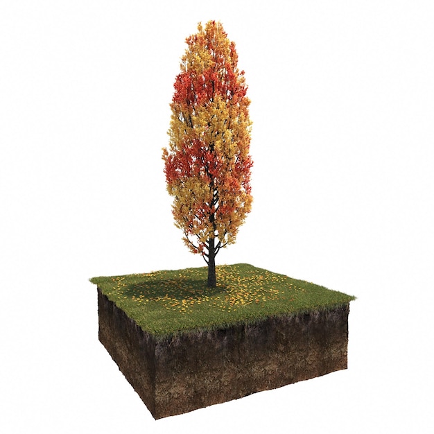 albero autunnale isolato su sfondo bianco, illustrazione 3D, rendering cg