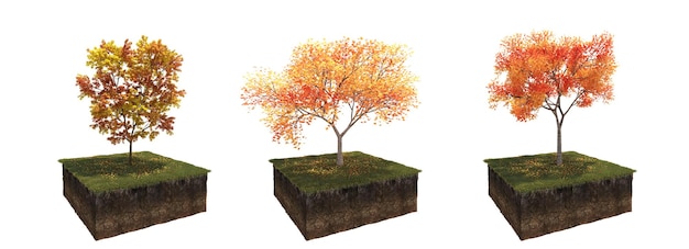 albero autunnale isolato su sfondo bianco, illustrazione 3D, rendering cg