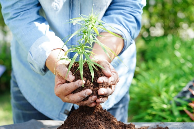 Albero che cresce con la mano Eco Earth Day salva il mondo salva la terra diventa verde