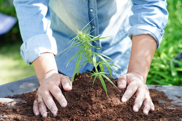 Albero che cresce con la mano Eco Earth Day salva il mondo salva la terra diventa verde