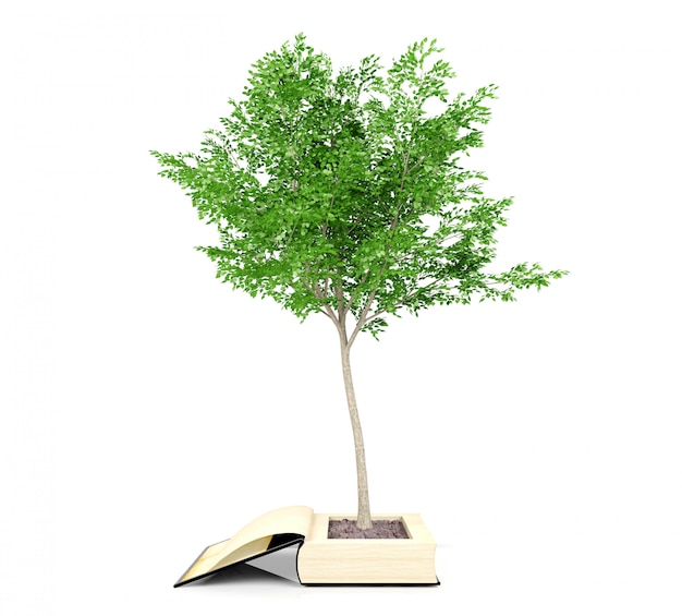 Albero che cresce dal vecchio libro. Crescita della conoscenza dal concetto di educazione, rendering 3D