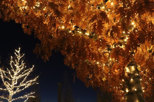 Albero con luci incandescenti,sfondo di capodanno,natale