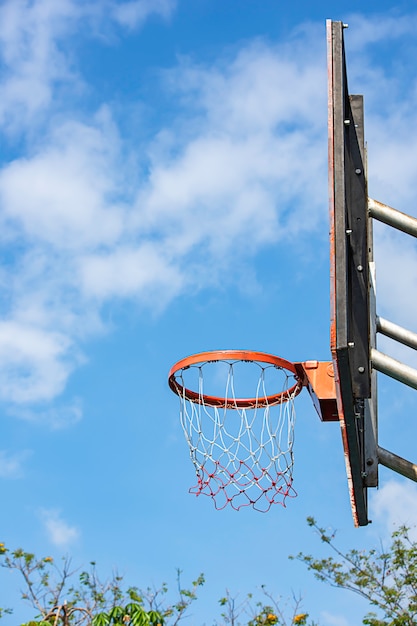 Albero confuso del fondo di pallacanestro del cerchio e del cielo.