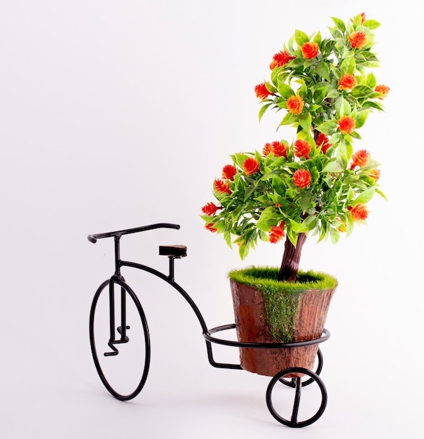 albero decorativo e portavasi per bici