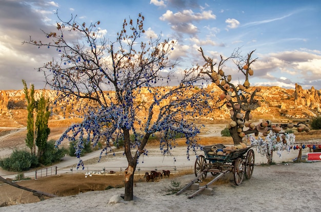 Albero dei desideri con vasi di terracotta in Cappadocia. Provincia di Nevsehir, Cappadocia, Turchia