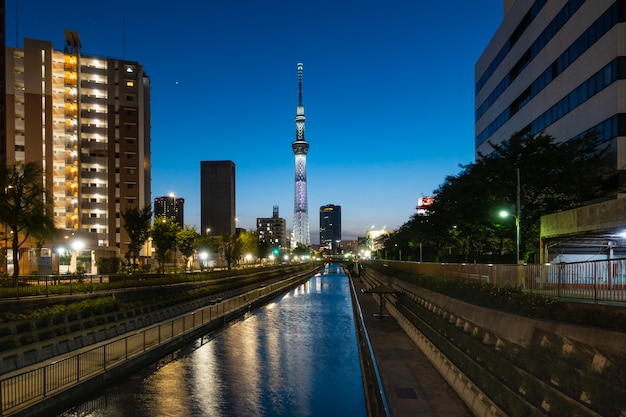 Albero del cielo di Tokyo nel crepuscolo.