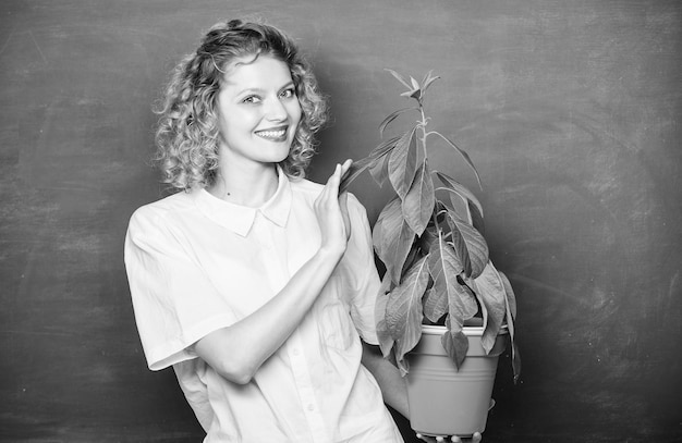 Albero della conoscenza scuola apprendimento ecologia educazione ambientale felice studente ragazza con pianta alla lavagna scuola natura insegnante donna con gli occhiali alla lezione di biologia salvare il mondo