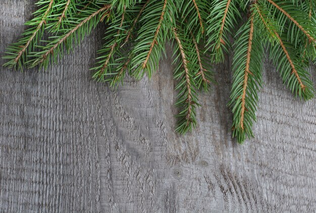 Albero di abete di Natale sul bordo di legno.