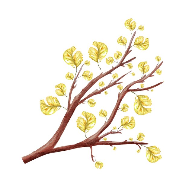 Albero di autunno con l'elemento isolato dell'acquerello delle foglie secche gialle