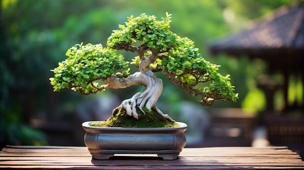 albero di bonsai con fiori rossi di bonsai sullo sfondo di un giardino verde