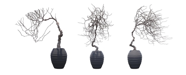 albero di bonsai decorativo isolato su sfondo bianco, illustrazione 3D, rendering cg