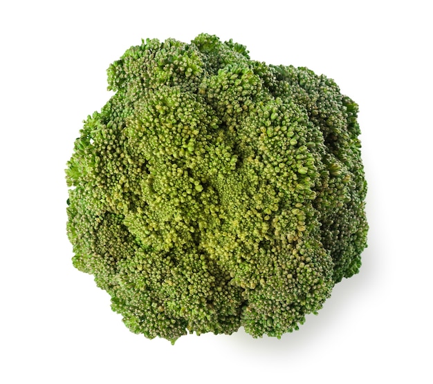 albero di broccoli maturi con foglie verdi isolato. Primo piano del cibo vegetale biologico fresco, concetto di dieta