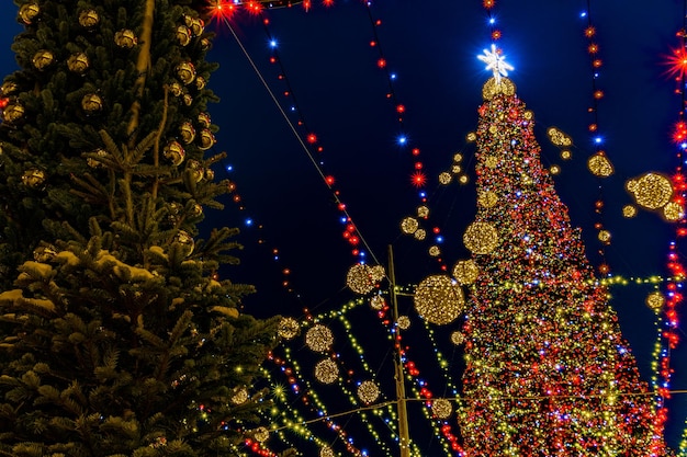 Albero di Capodanno in Piazza Sofia a Kiev Albero decorato da favola in Piazza Sofia