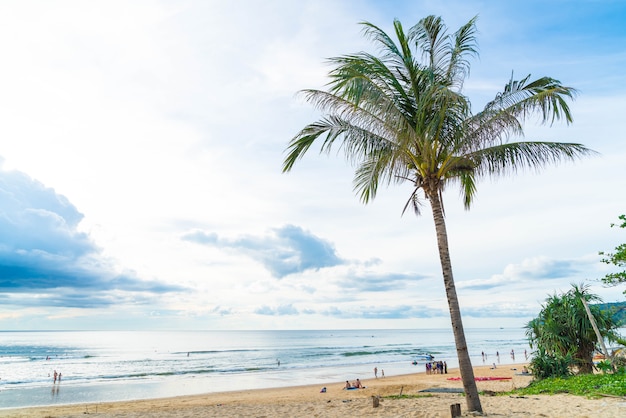 albero di cocco con spiaggia tropicale