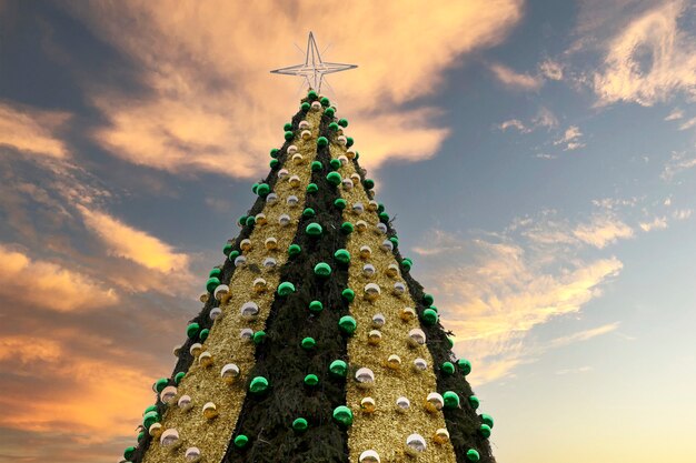 Albero di Natale, albero di Capodanno fuori la sera sotto la neve.