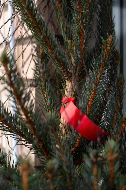 Albero di Natale avvolto in una rete in una fiera di strada Preparazione per il nuovo anno