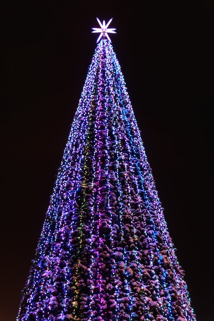 Albero di Natale coperto di neve con luci multicolori di notte su sfondo nero.