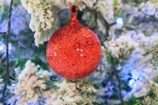 Albero di Natale decorato con palla rossa su sfondo di rami di pino