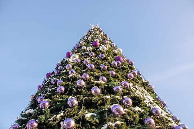 Albero di Natale decorato contro il cielo blu