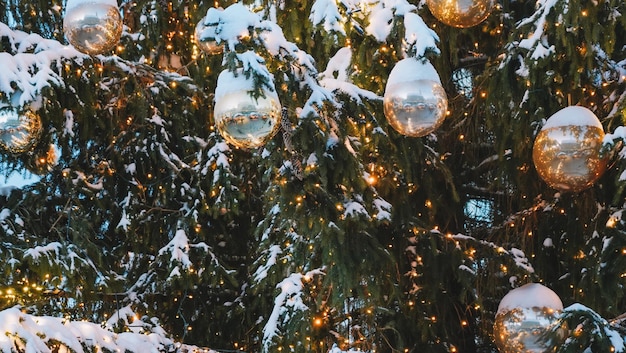 albero di natale e luci di natale